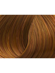 Vopsea par cu amoniac Lorvenn Beauty Color nr 8.34 light blond golden copper - crema academie , Lorvenn - shiny beauty  , Lorvenn Beauty Color Professional crema de fata