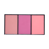 Paleta blush on 03 PFMON