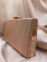 Clutch Poseta Ocazie C1