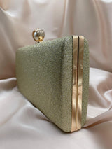 Clutch Poseta Ocazie C11