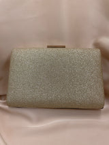 Clutch Poseta Ocazie C24