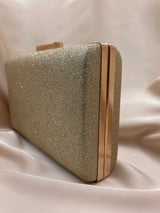 Clutch Poseta Ocazie C24