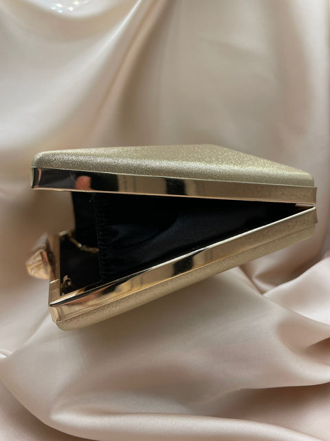 Clutch Poseta Ocazie C82