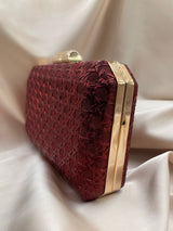 Clutch Poseta Ocazie C93