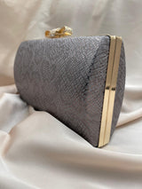 Clutch Poseta Ocazie C171