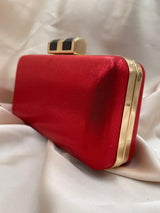 Clutch Poseta Ocazie C182