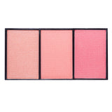Paleta blush on 04 PFMON