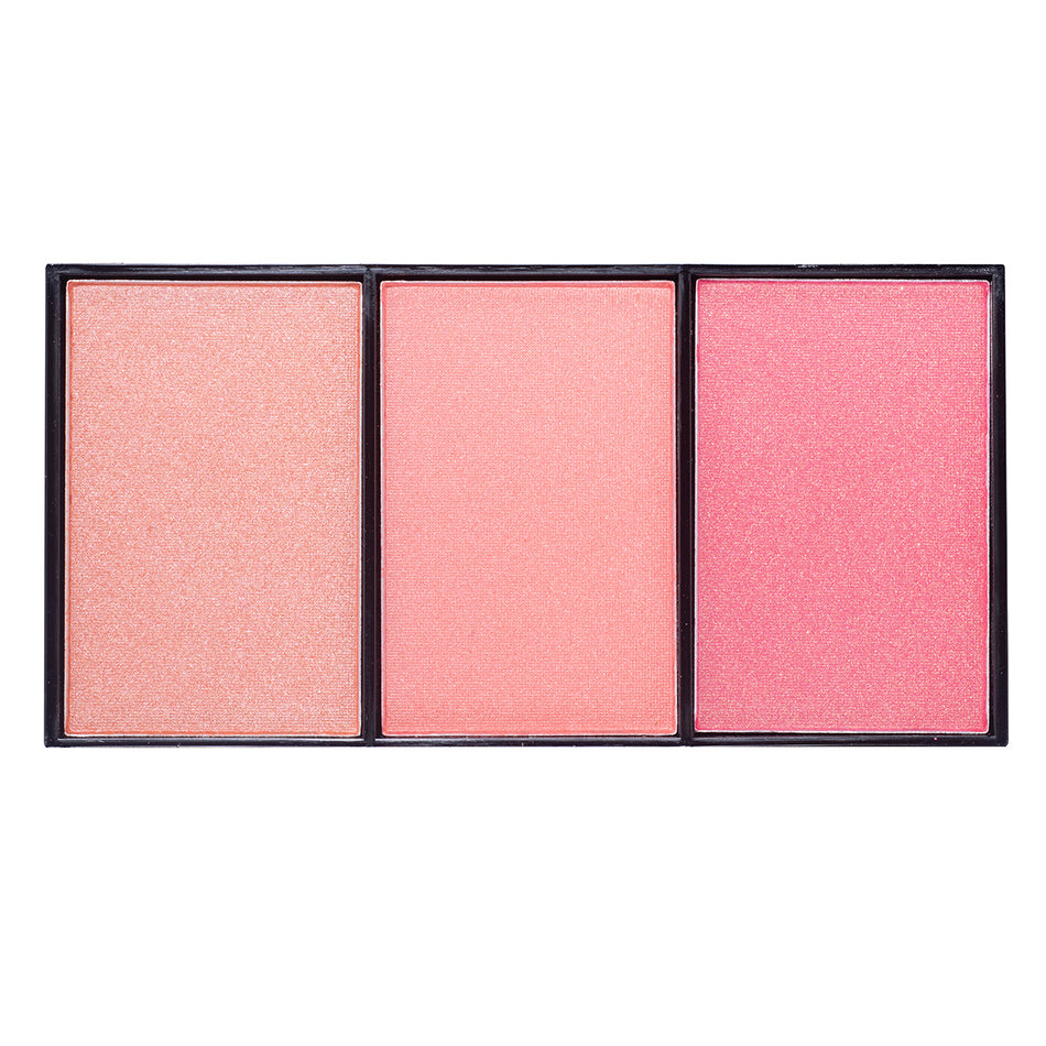 Paleta blush on 04 PFMON