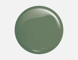 GEL VICTORIA VYNN Oja Semipermanenta Gel Polish 209 Dusty Green