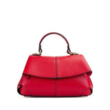 Poseta piele naturala  1243 - Shiny Beauty