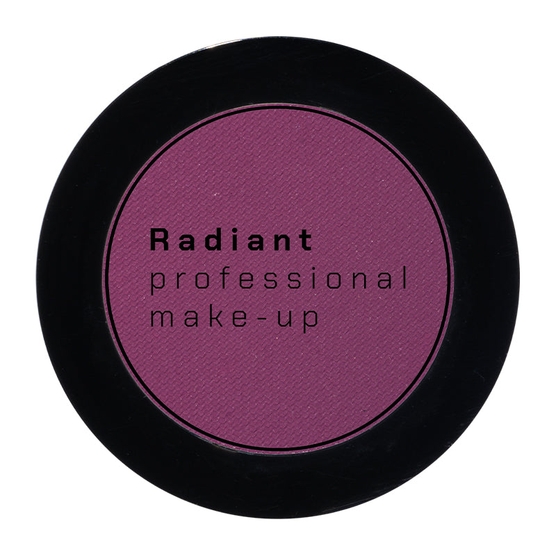 Fard ochi Radiant 4g PROFESSIONAL EYE COLOR nr 295 FRADO