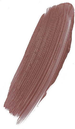 RUJ LICHID Seventeen All Day Lip Color&Top 81 RADSEV - Shiny Beauty