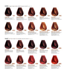Vopsea de par BBCOS Innovation Evo 5.66RP STRONG DARK RED, 100ml - crema academie , BBCOS - shiny beauty  , BBCOS iNNOVATION EVO crema de fata