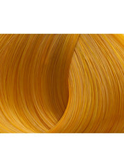 Vopsea par Lorvenn Beauty Color 0/3 gold - crema academie , Lorvenn - shiny beauty  , Lorvenn Beauty Color Professional crema de fata